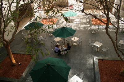 The Hammer Museum (courtyard)